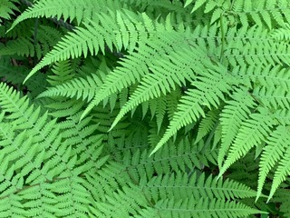 IMG_0869.JPG