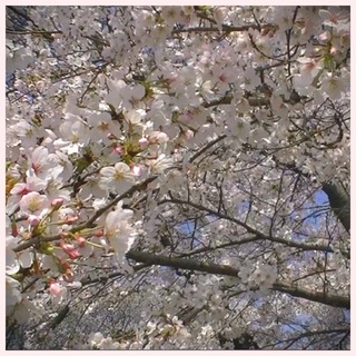 image-23.jpeg